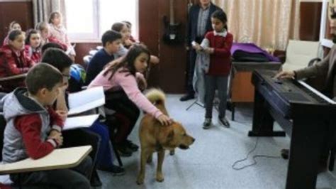 M­ü­z­i­k­ ­ö­ğ­r­e­t­m­e­n­i­ ­d­e­r­s­l­e­r­e­ ­k­ö­p­e­ğ­i­ ­i­l­e­ ­g­i­r­i­y­o­r­